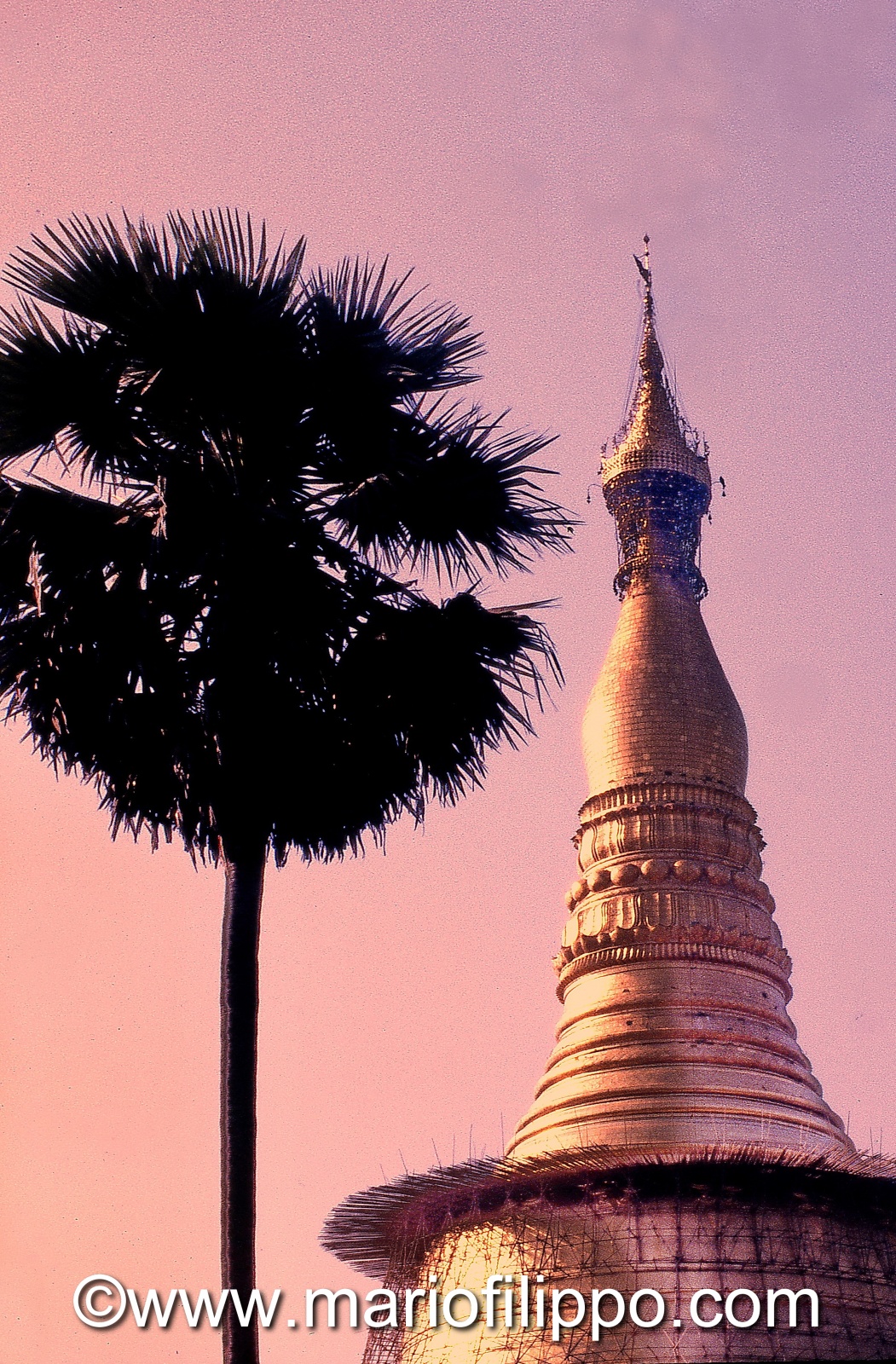 MYANMAR -YANGON-TEMPIO D'ORO